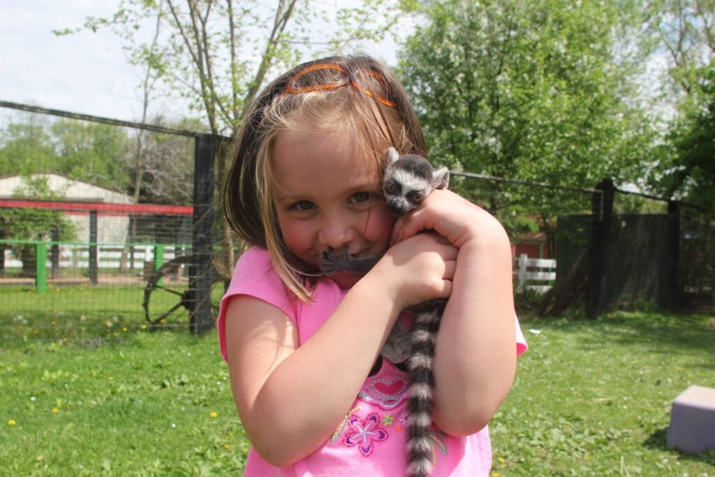 girl holding lemur at Bear Den Zoo & Petting Farm Waterford Wisconsin